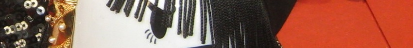 33d copy