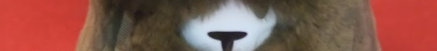 00