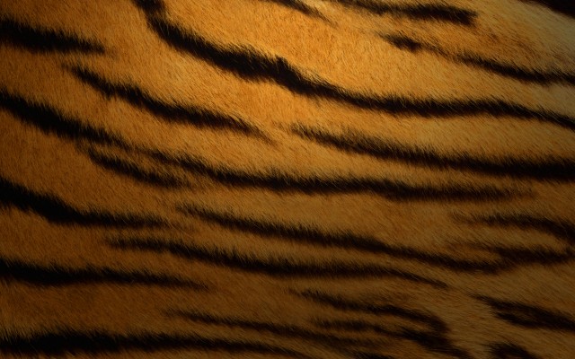 Tiger 10.4.1