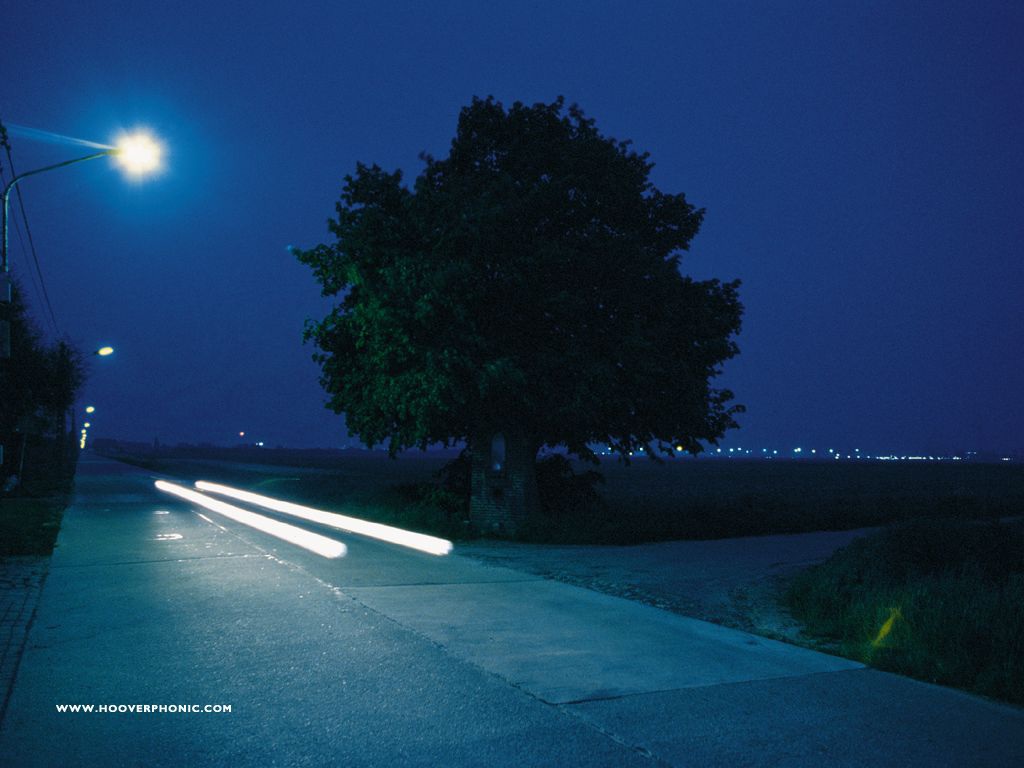 Full version of the magnificent cover of The Magnificent Tree, which shows a tree in the Belgian countryside, outside Antwerp.